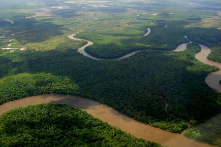 Südamerika: Bresil Amazonas