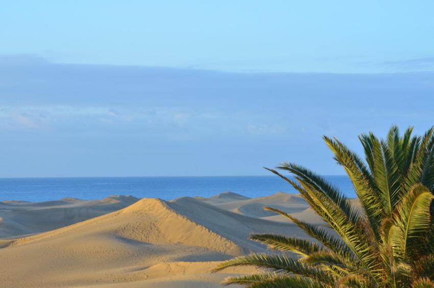 Dünenlandschaft Maspalomas Gran Canaria