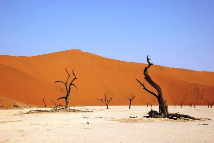 Atlantikküste (Afrika)