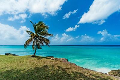 Hafen Barbados