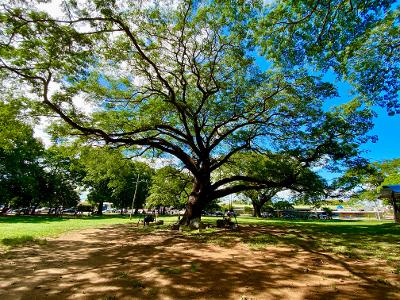 Land Liberia