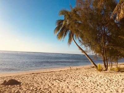 Land Niue