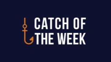 msc catch of the week