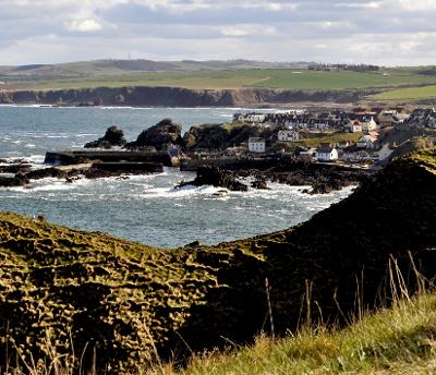 Hafen St Abbs