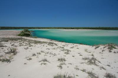 Adele Island, Kimberley