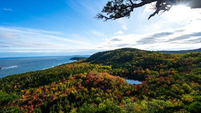 Bar Harbor