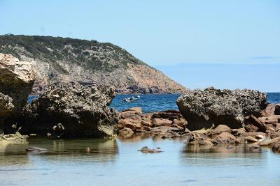 Kangaroo Island