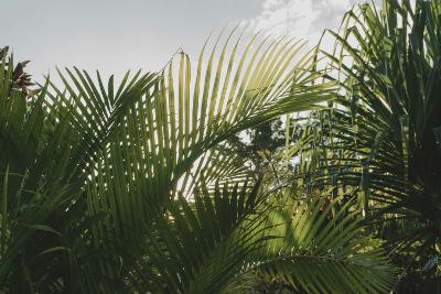 Hafen Luganville (Vanuatu)