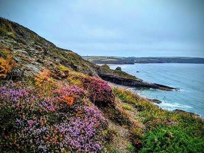 Milford Haven (Wales)