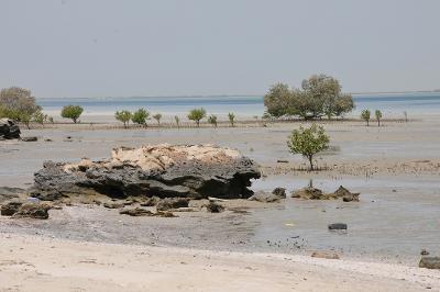 Hafen Sir Bani Yas