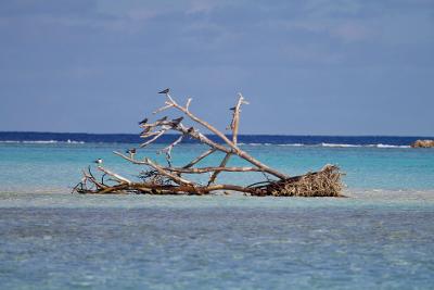 Tuamotu-Archipel